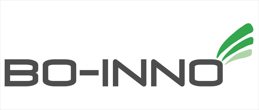 logotyp firmy Bo inno
